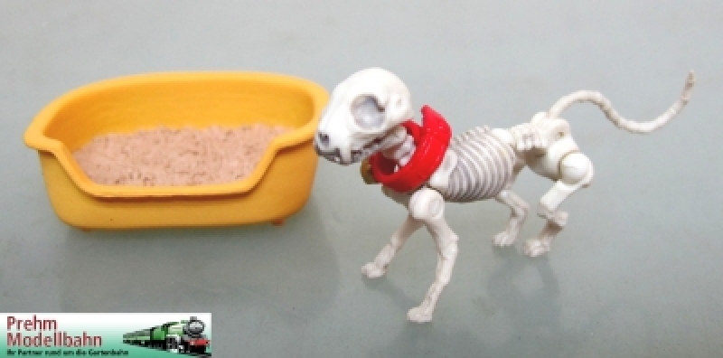 550208 Skelett - Katze